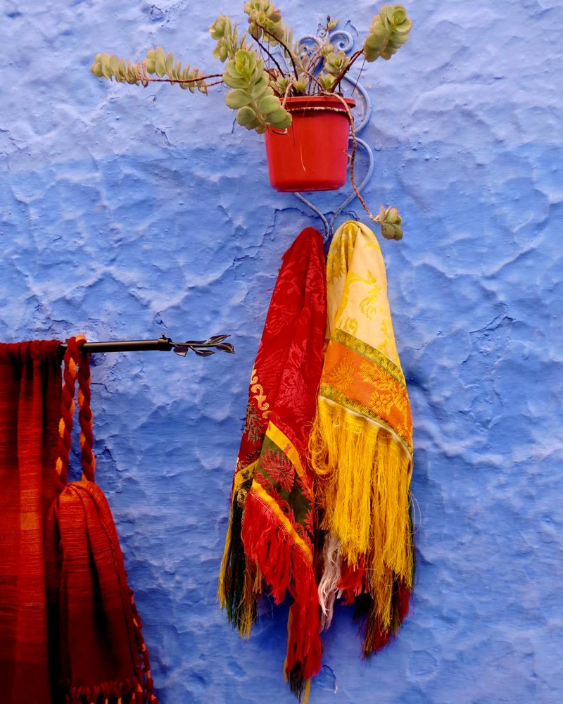 Tessuti rossi e gialli e una pianta appesi a un muro blu a Chefchaouen.